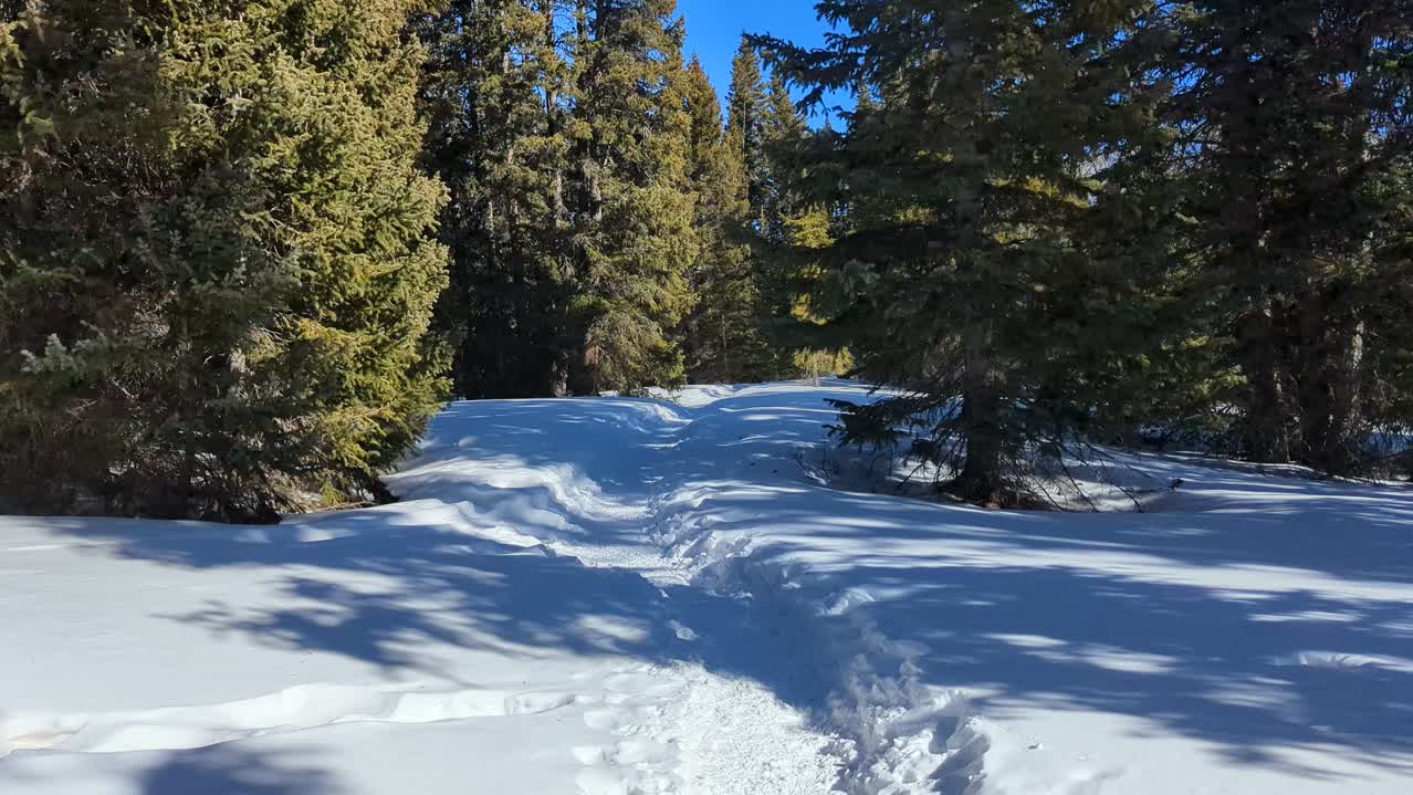 Tree line